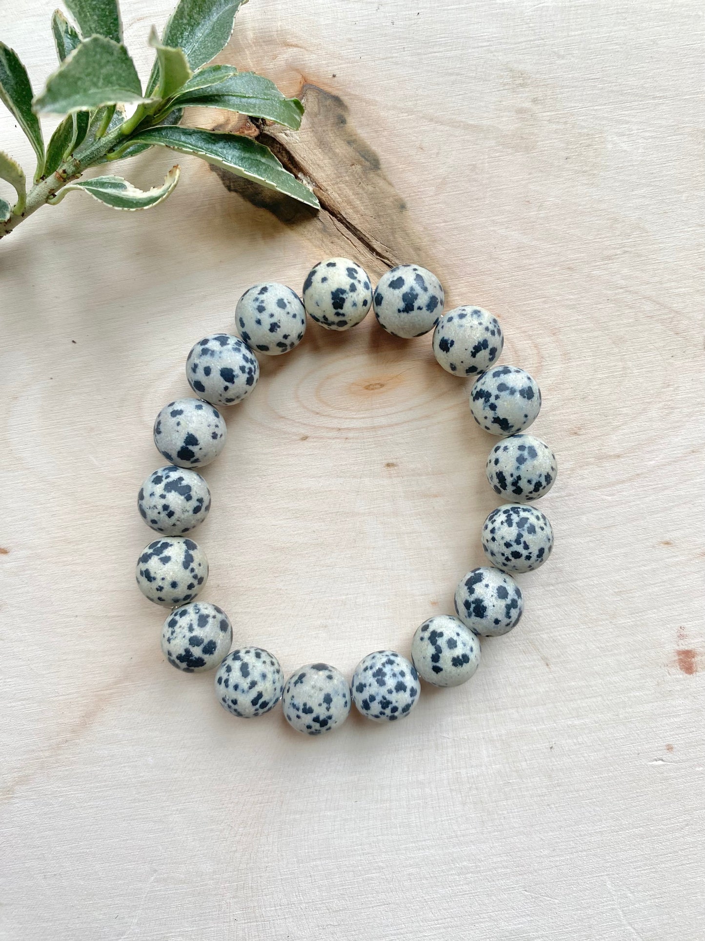 Dalmatian Jasper